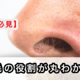 【鼻毛は意味ある？】３つの役割・成長速度・処理範囲を解説！