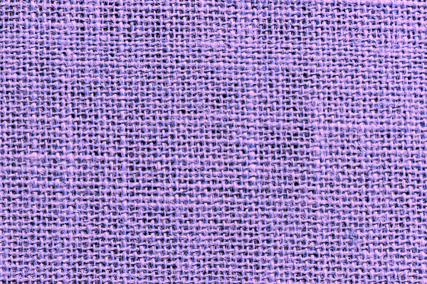 紫色の繊維