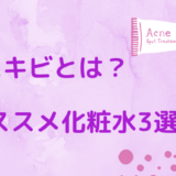 紫ニキビとは？【オススメ化粧水３つ・原因・予防と治し方を紹介！】